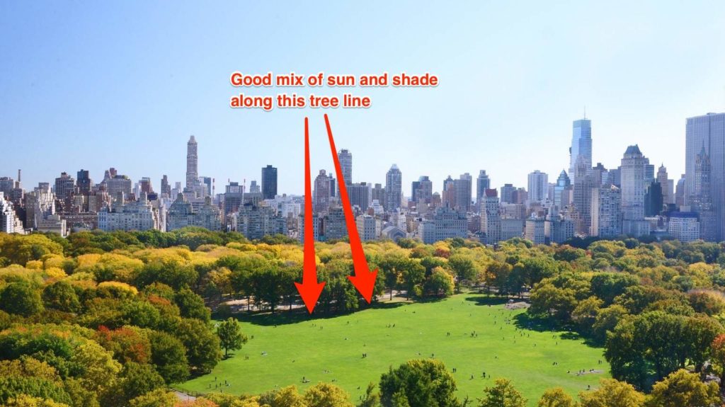 Overhead view of Sheep Meadow in Manhattan, looking south, with red arrows