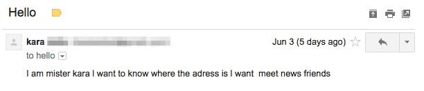 Email response submitted to the flyer searching for new friends