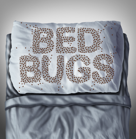BED BUGS