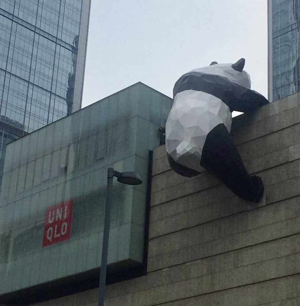 Panda climbing on a Uniqlo store in Chengdu, China