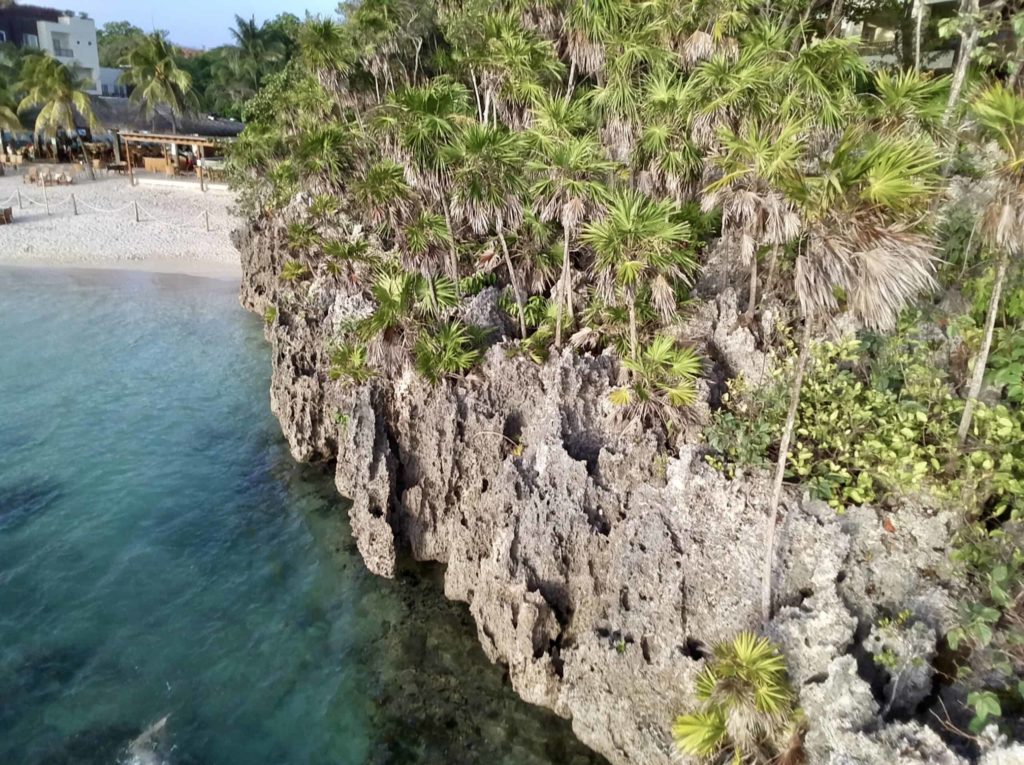 Blue ocean, gray rocks, green trees