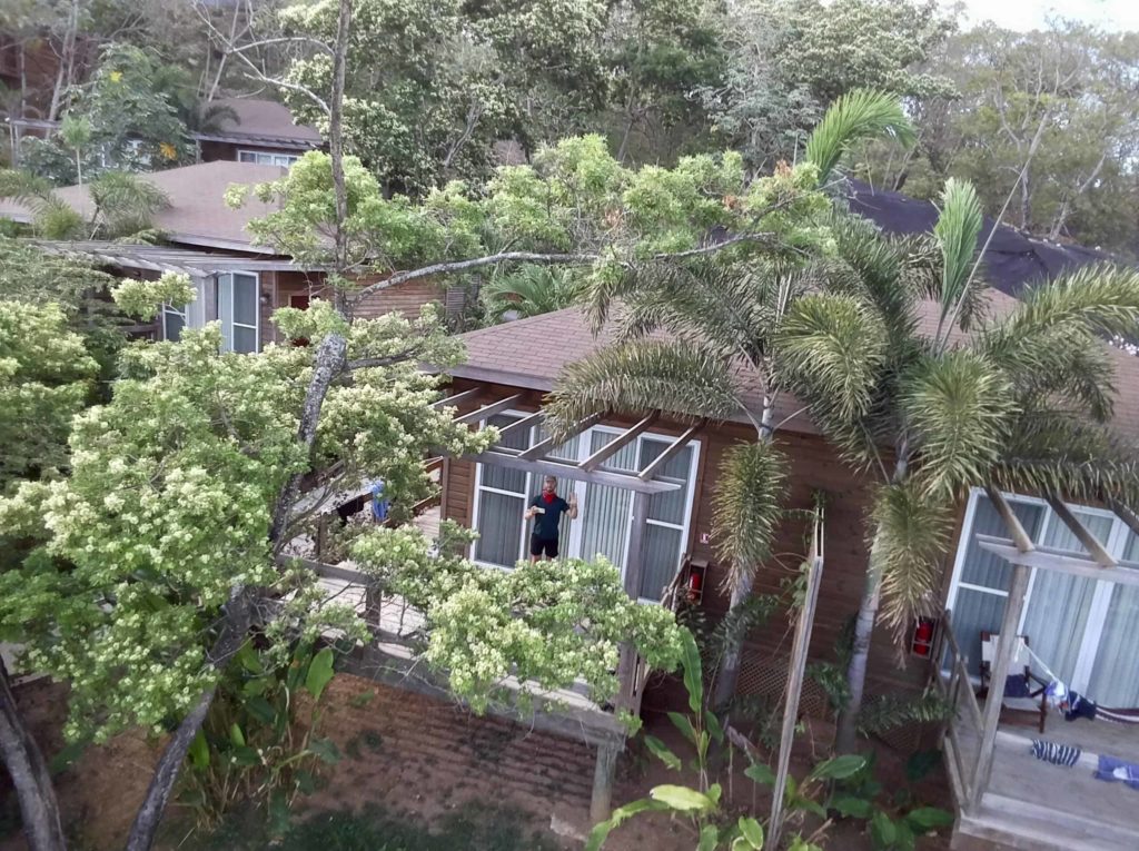 Patio, porch, trees, house among the trees