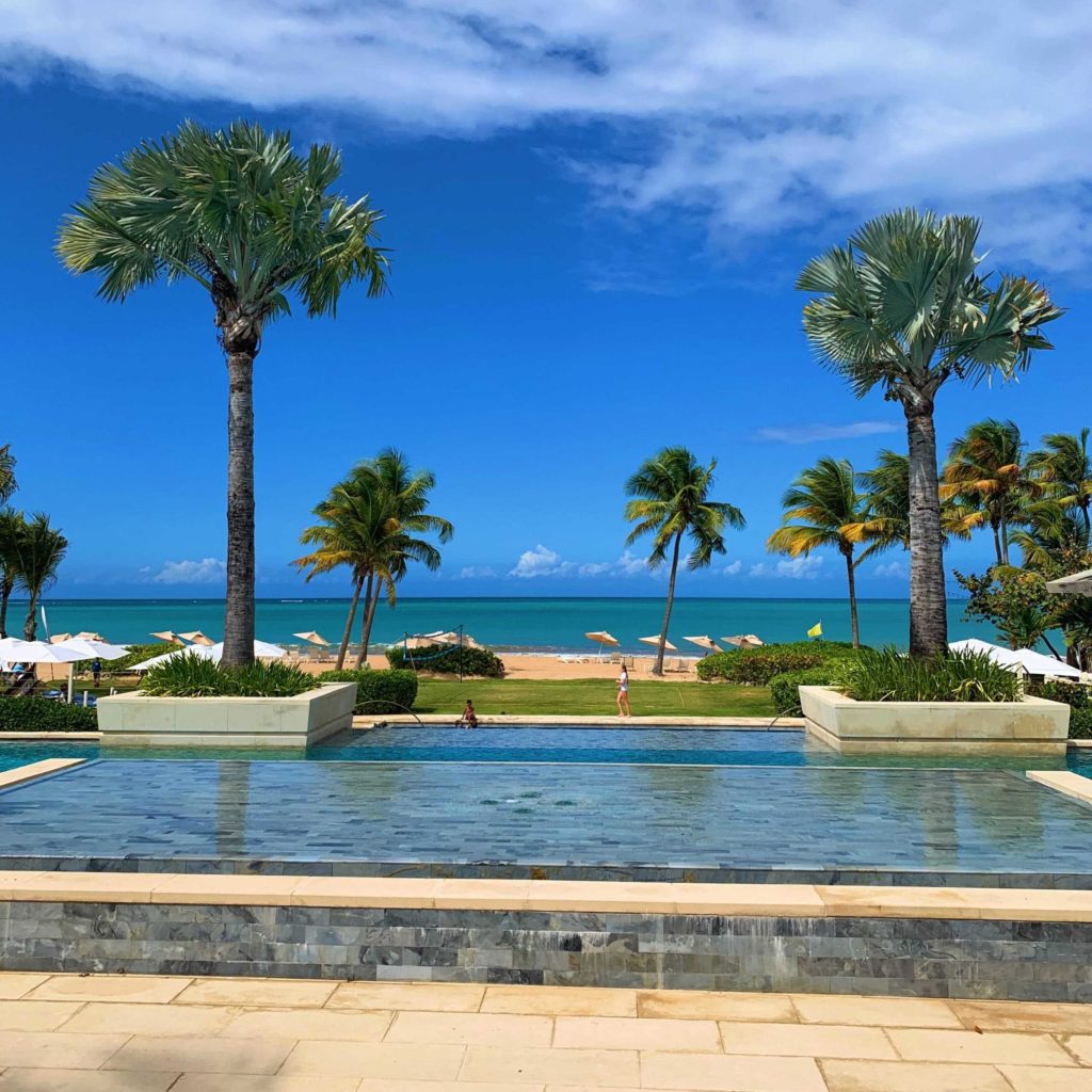 Palm trees and a wading pond