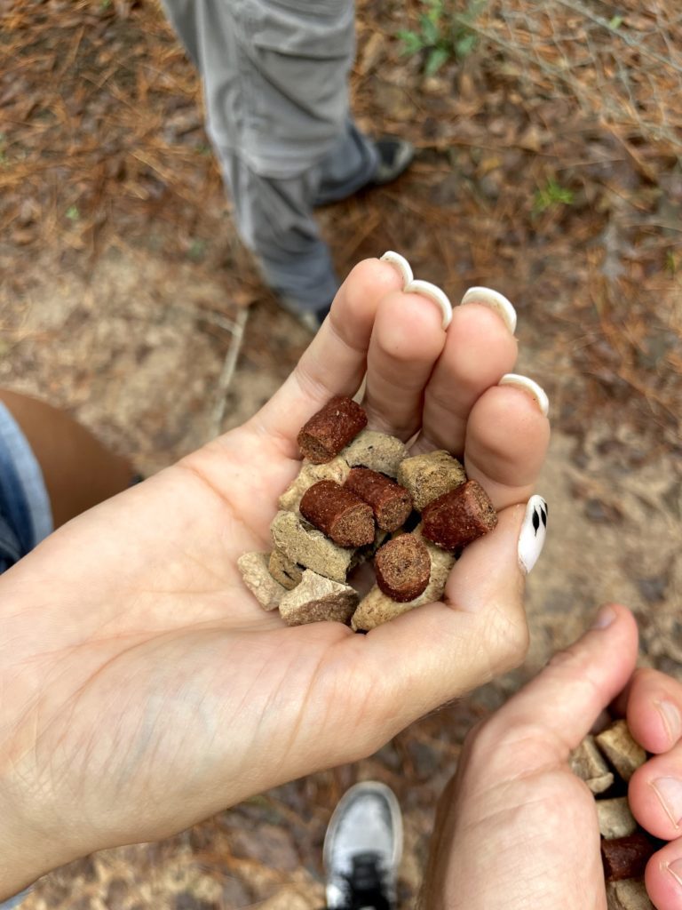 photo of a hand holding dry food