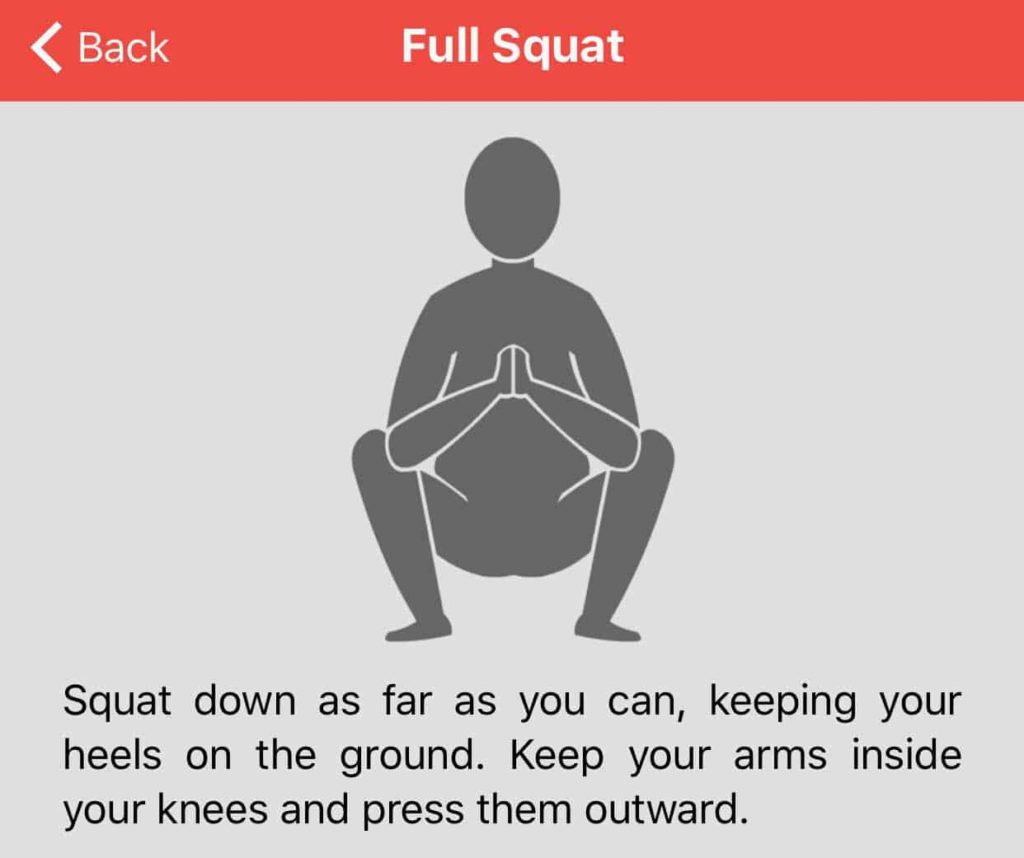 cartoon of a human sitting down in a Full Squat