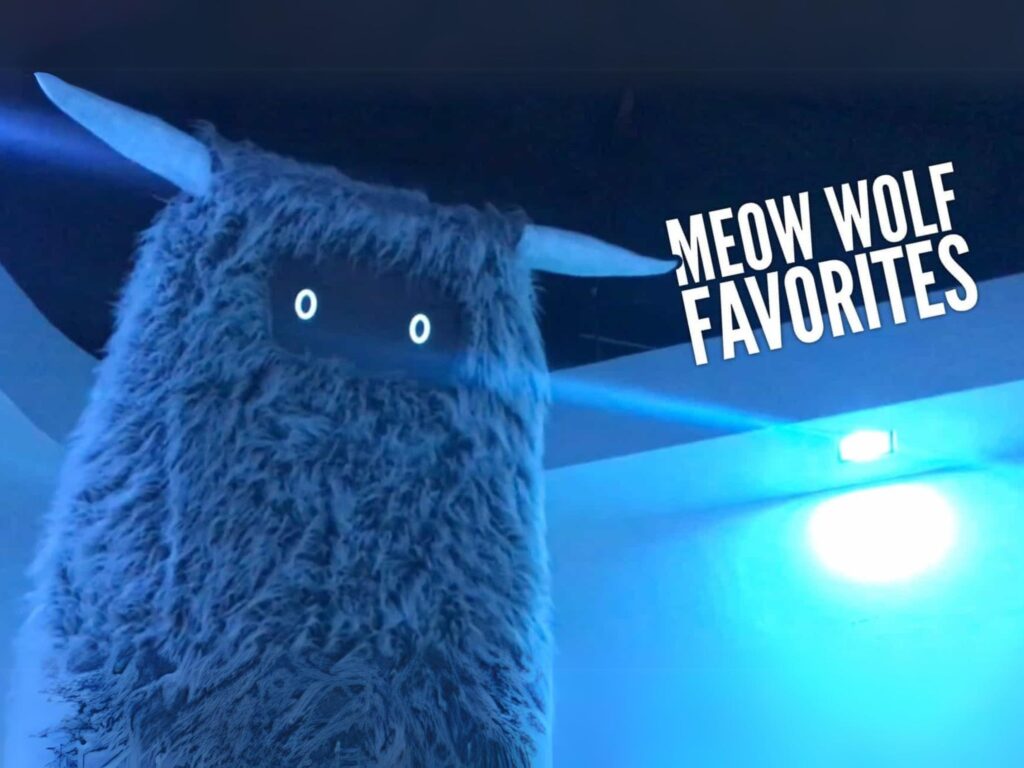 Meow Wolf Featured