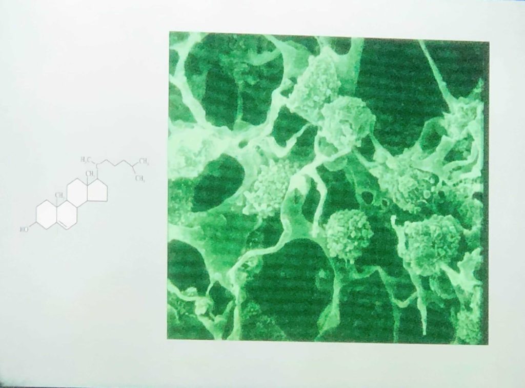Green computer magnified image on screen
