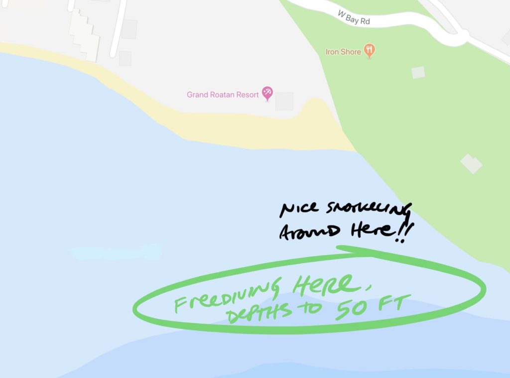 Map of where we went freediving in Roatan, Honduras