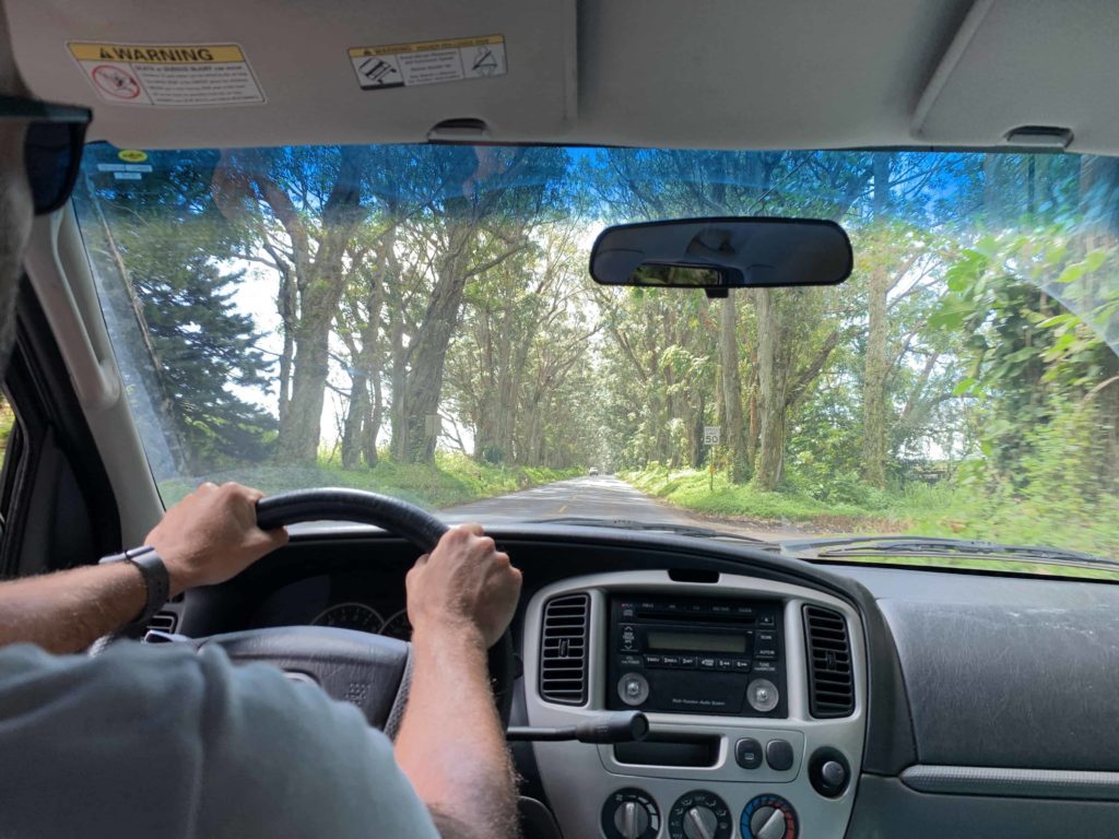 Our drive to our hiking spot with the dogs once we left the Humane Society in Kauai, Hawaii