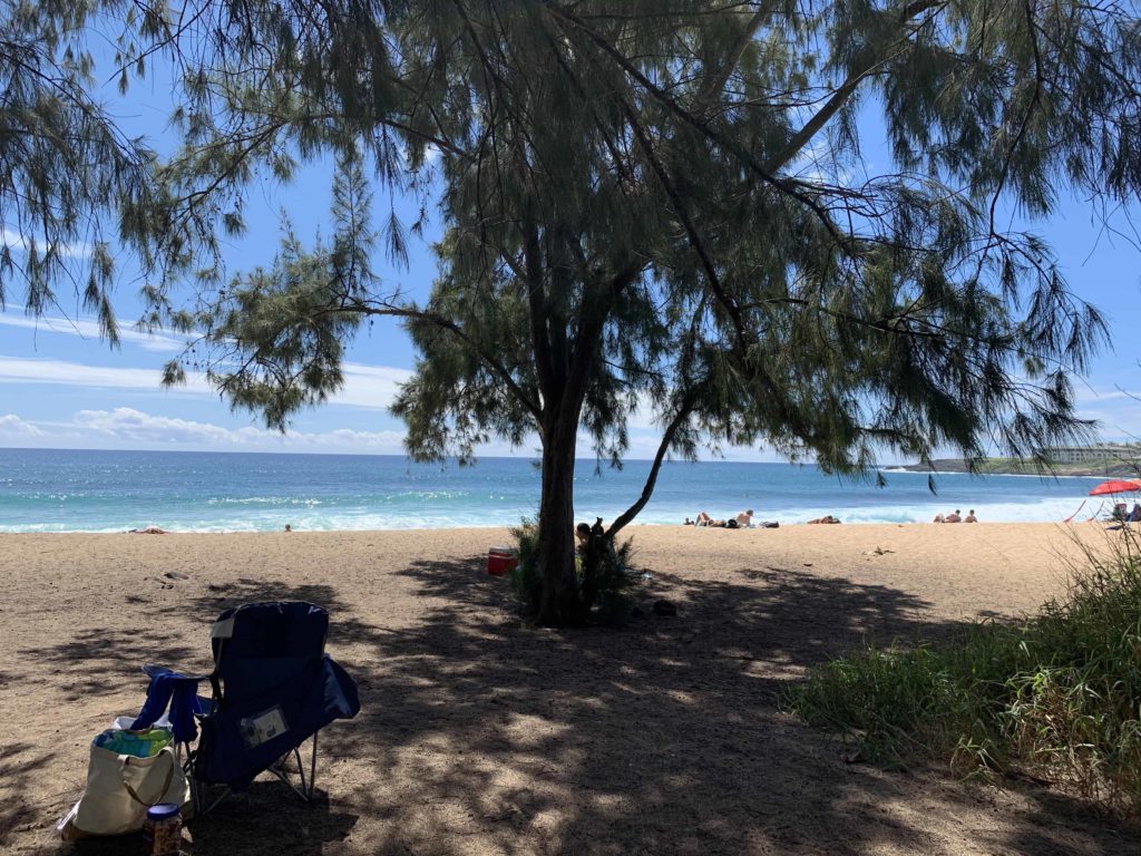 Beach in Kauai called Shipwreck Beach