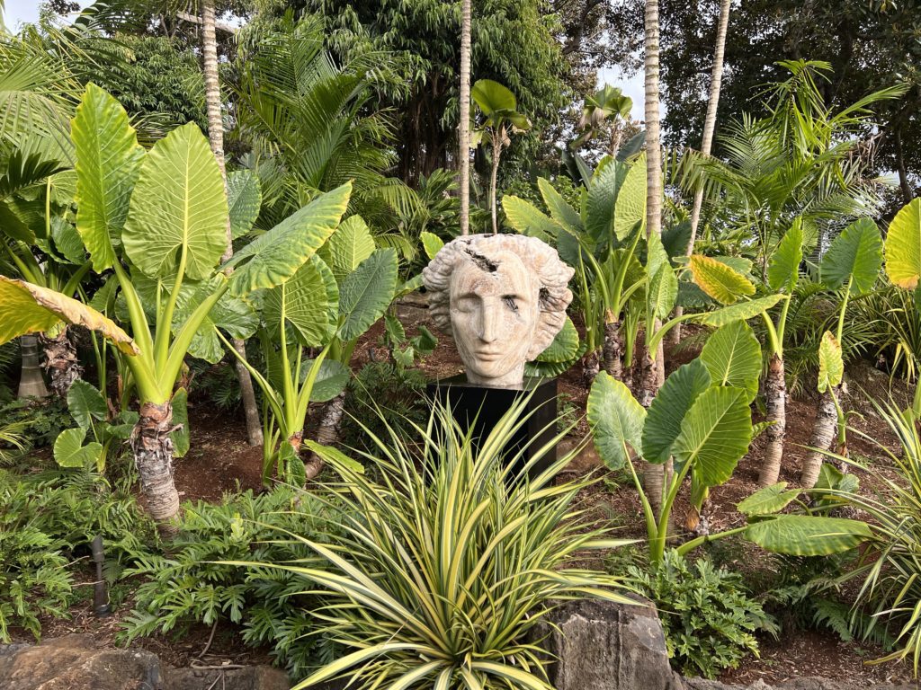 wider photo of Cautha by Emily Young in Lanai Hawaii