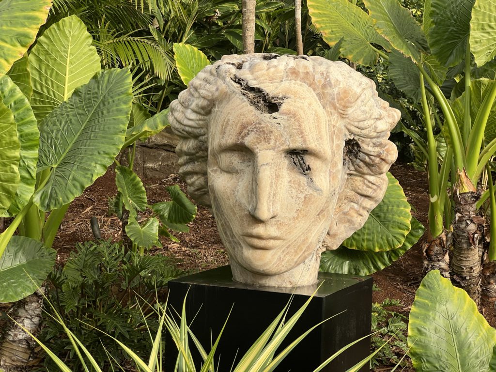 photo of Cautha by Emily Young in Lanai Hawaii