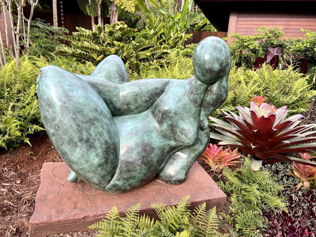photo of L’llle du Levant by Balthasar Lobo in Lanai Hawaii