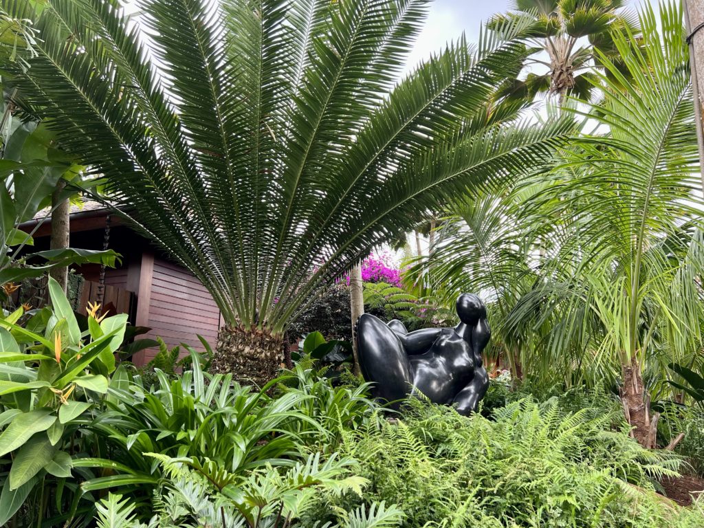 wider photo of L'lle du Levant by Balthasar Lobo in Lanai Hawaii
