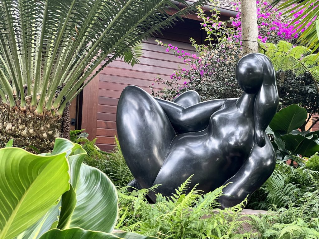 photo of Lille du Levant by Balthasar Lobo in Lanai Hawaii