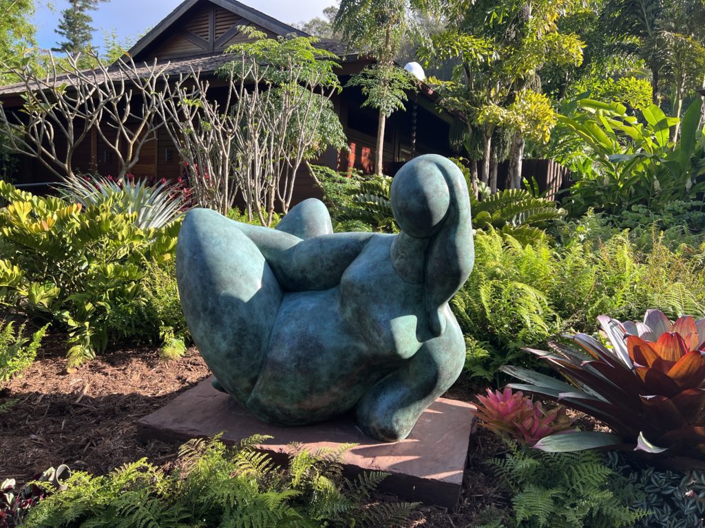 wider photo of L’llle du Levant by Balthasar Lobo in Lanai Hawaii