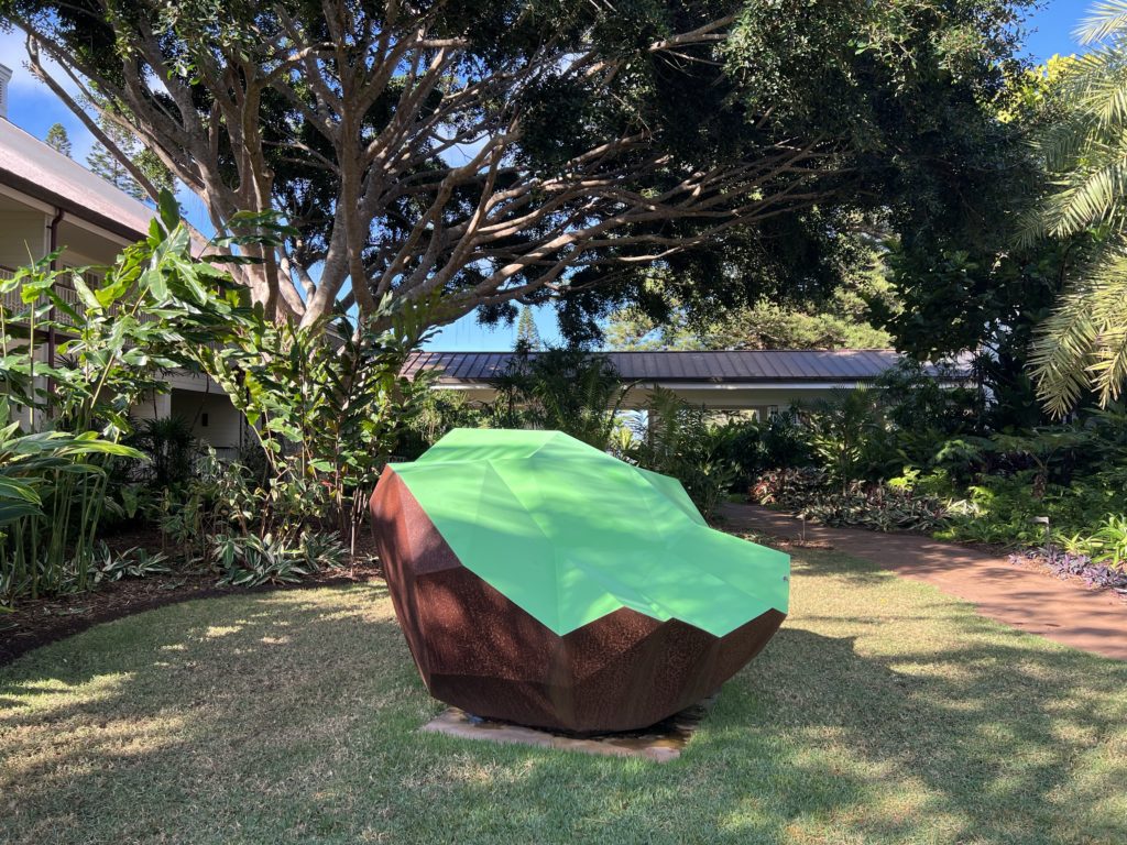 photo of Cocoface by Guillaume Castel in Lanai Hawaii