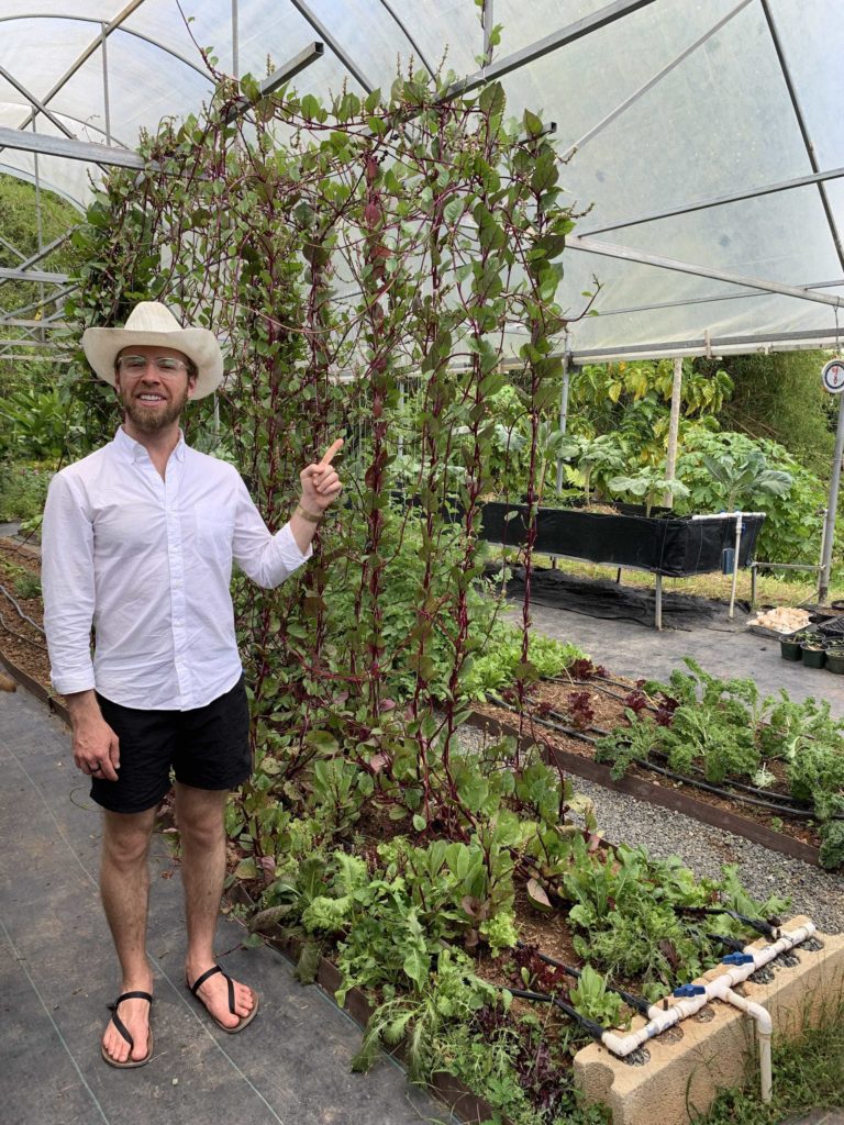 Man wearing hat a white shirt, pointing at vines of spinach
