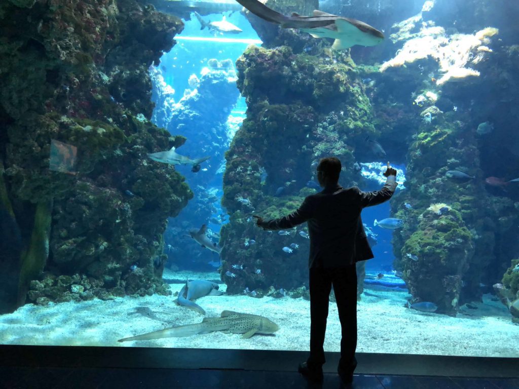 Nick Gray at the Oceanographic Museum of Monaco