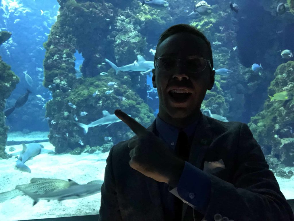 Shark at the Oceanographic Museum of Monaco