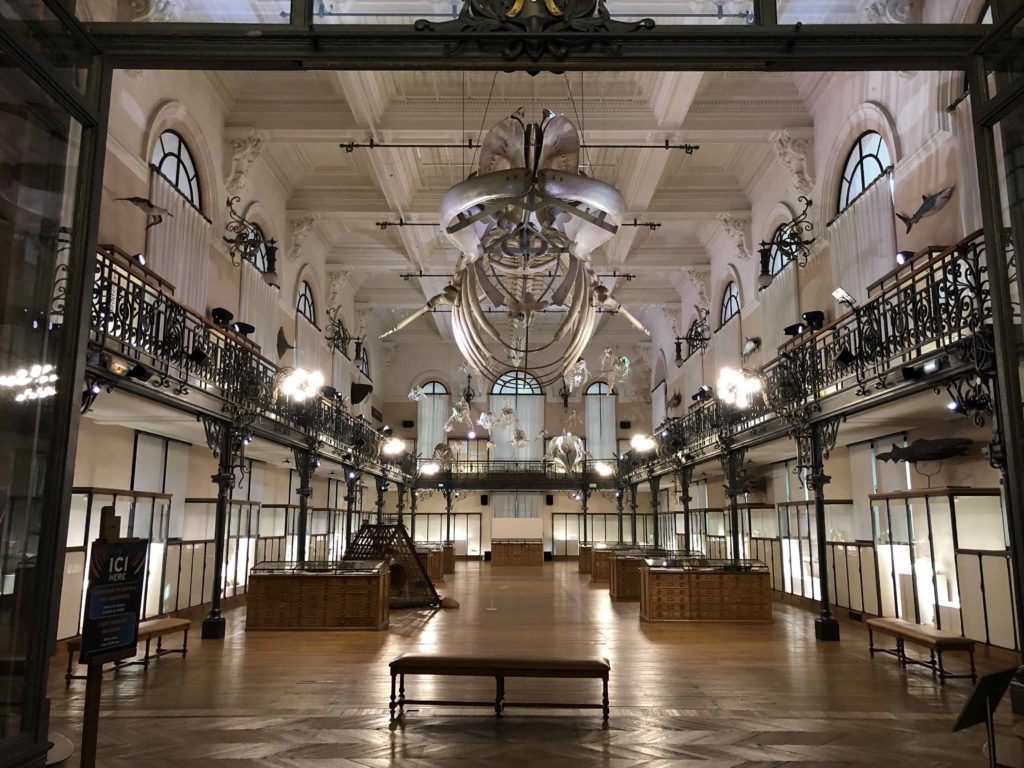 Whale Room at the Oceanographic Museum in Monaco