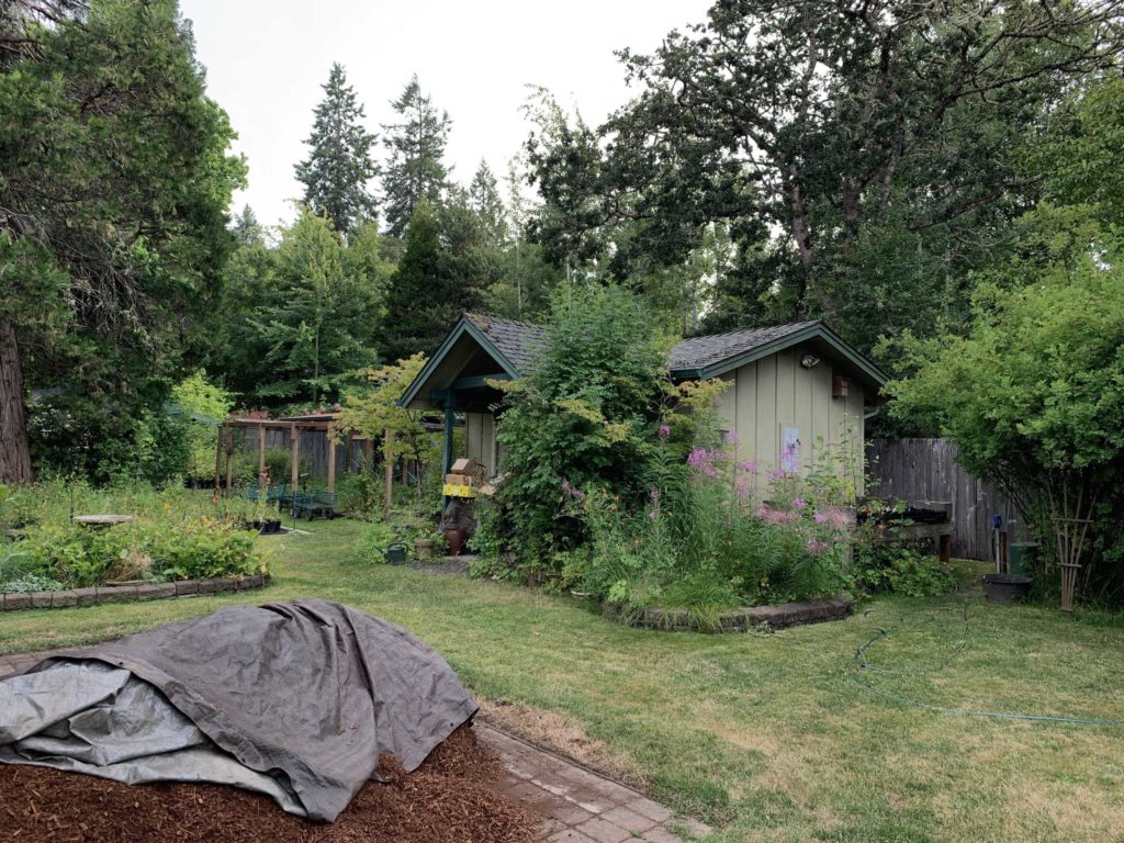 Small building on a plot of land in Corvallis, Oregon at this plant nursery