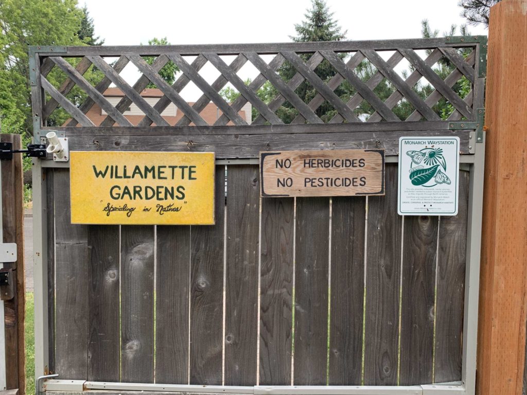 Wooden fence with three signs on it, the one on the far right talks about monarch butterflies