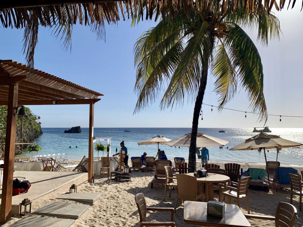 White sand beach with a palm tree, looking out to the ocean