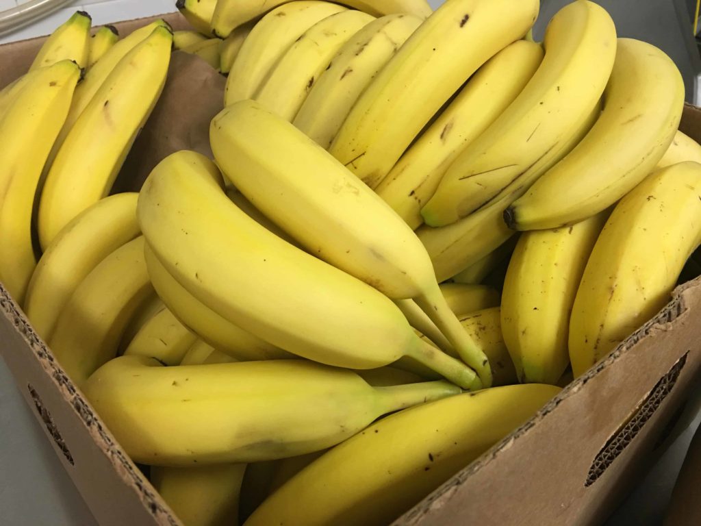 Bananas to be used for a new flavor called Overnight Oats: oatmeal ice cream with a coconut milk base.