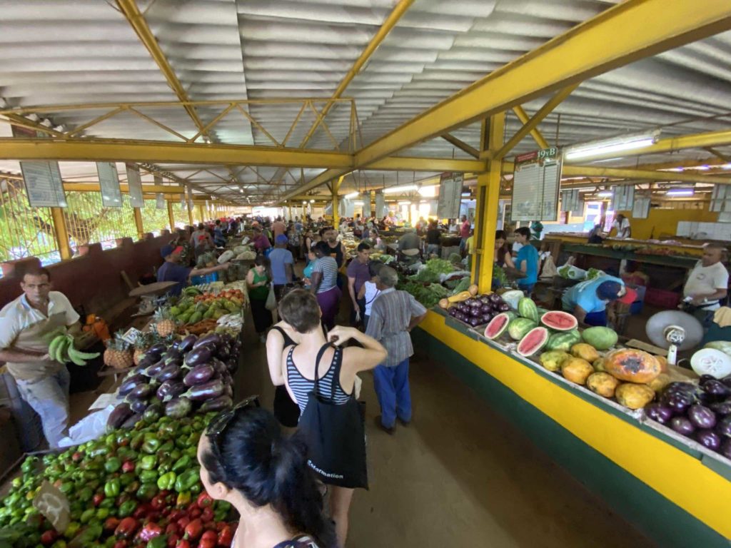 Colorful inside market showing watermelons, eggplant, peppers