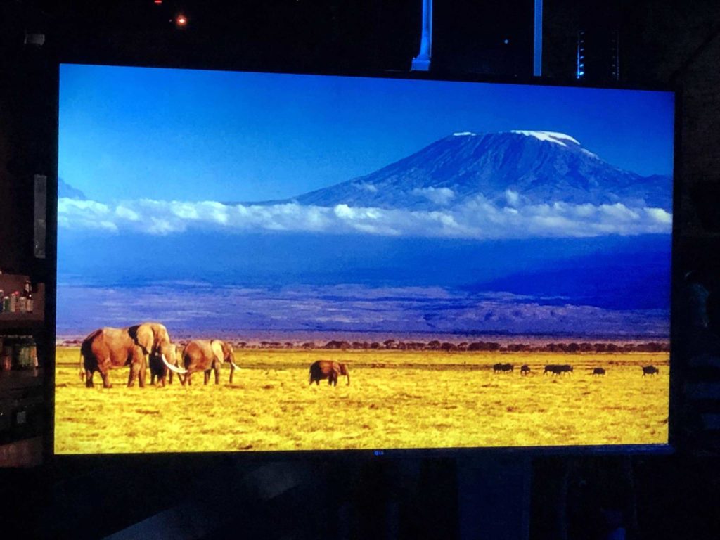 Landscape with elephants