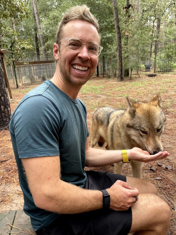 a man feeding the wolfdog