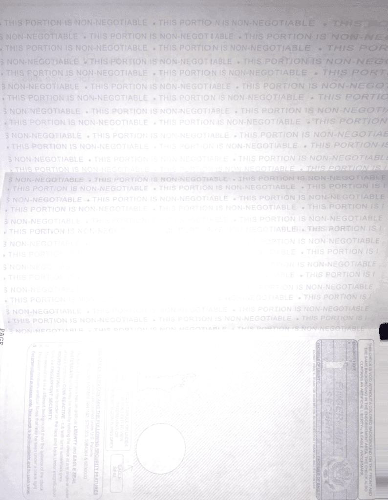 Scan of the back of the Bizfi letter, it even pretends to be a check!