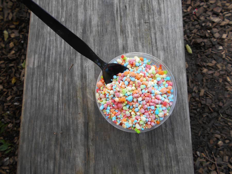 Dippin’ Dots: The Ice Cream of The Future