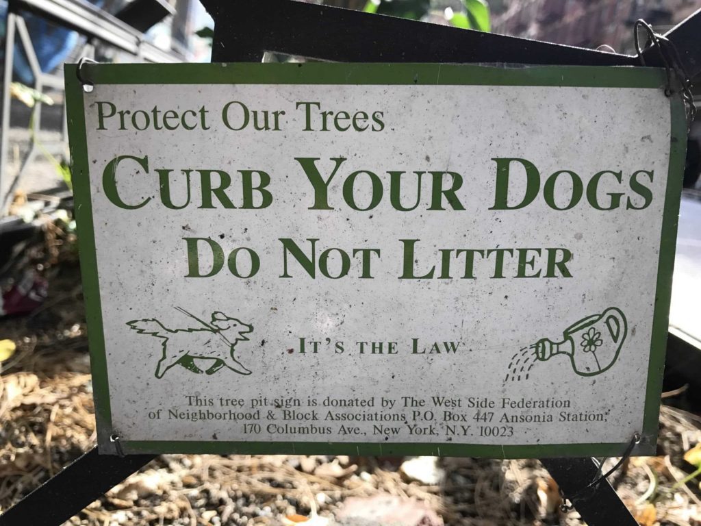 Sign on a tree fence which says, "Protect Our Trees. Curb your dogs. Do not litter. It's the law."