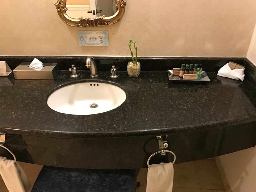 Nice amount of counter space in the bathroom
