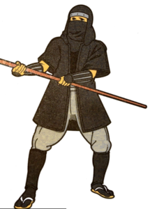 picture of an Iga Ninja