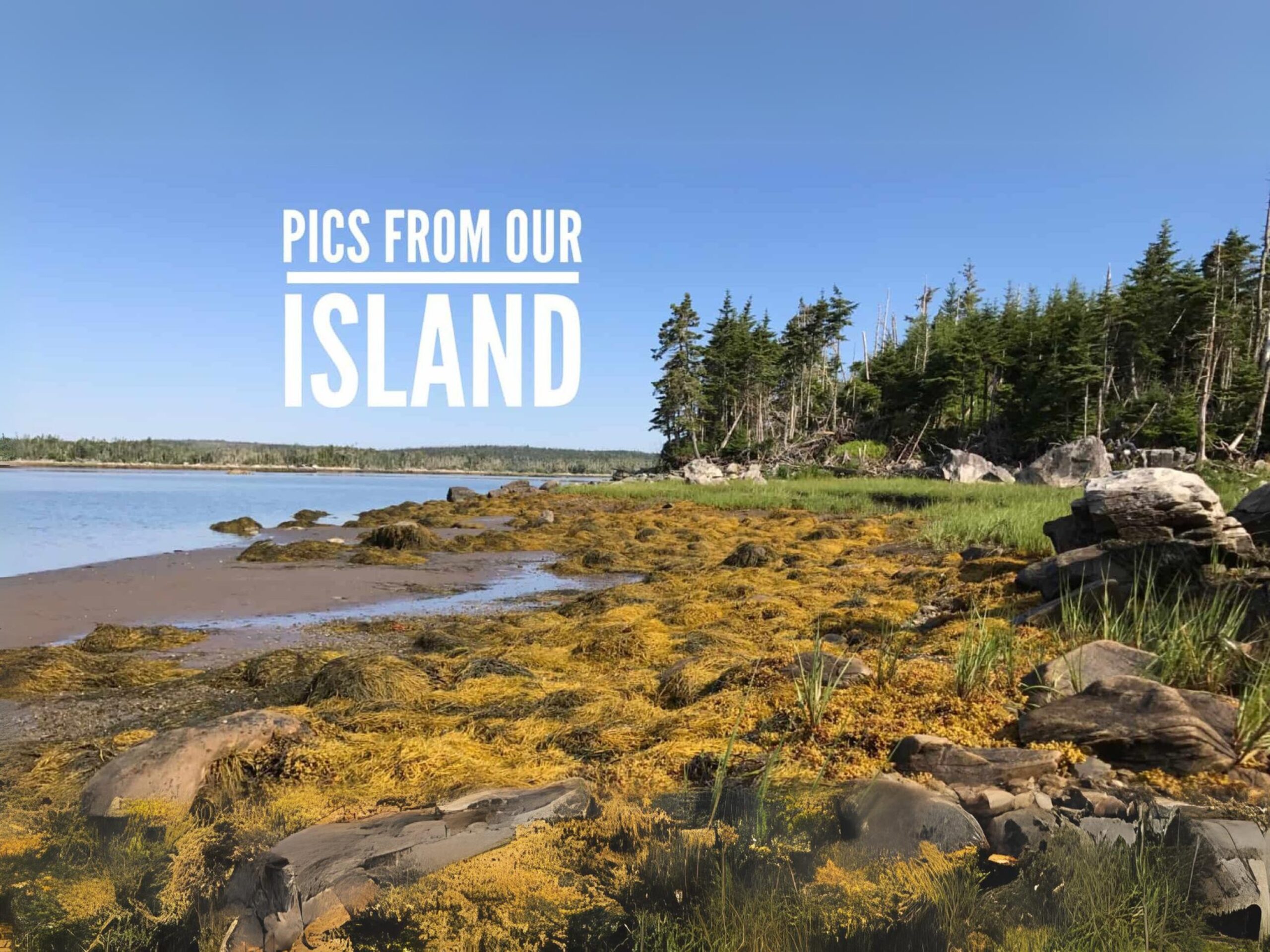 Pics from our island