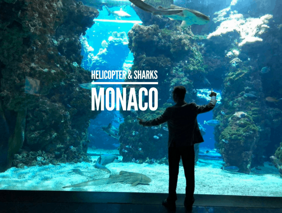 Shark tanks, museums of undersea mystery, and boats at Monaco
