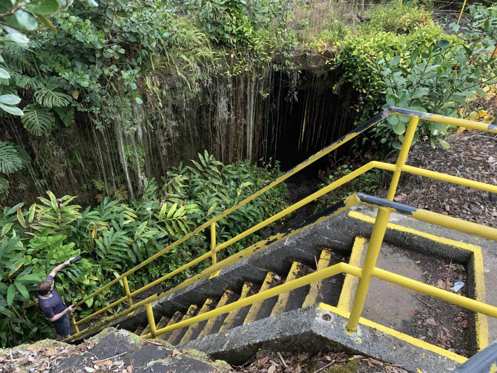 Jungle scene, with a yellow stairway going down