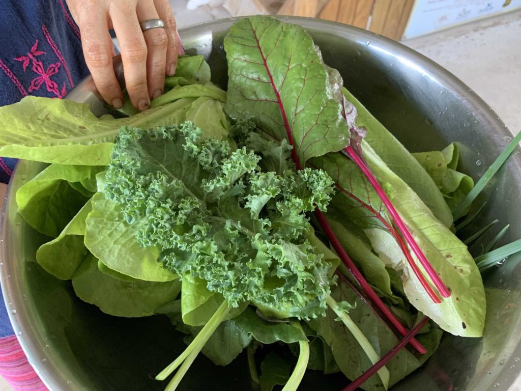 Green leafy vegetables inside a bowl