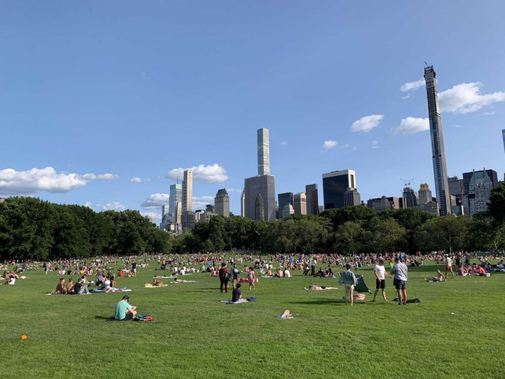 Green grass and an open meadow in Central Park of NYC