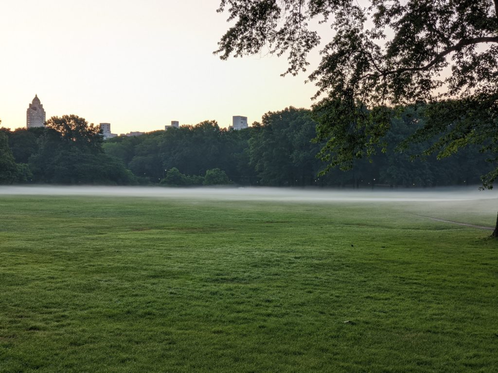 foggy morning in Sheep Meadow Central Park