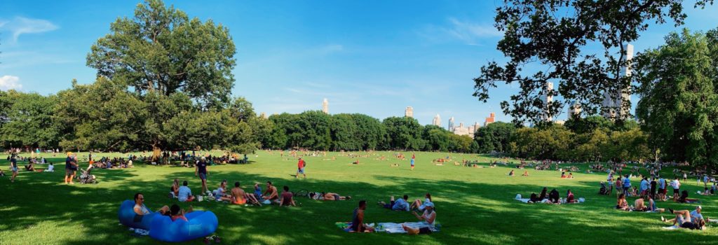 people having picnic and sunbathing in Sheep Meadow, Central Park