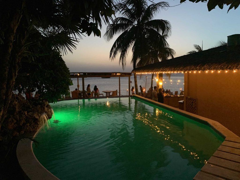 Green lights on swimming pool. Palm trees, beach and ocean in the background