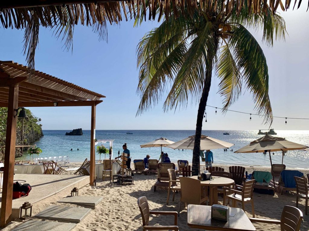 Roatan, Honduras - White sand beach with a palm tree, looking out to the ocean