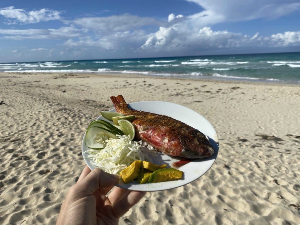 White plate with grilled fish, lettuce, limes. Beach sand and waves in background