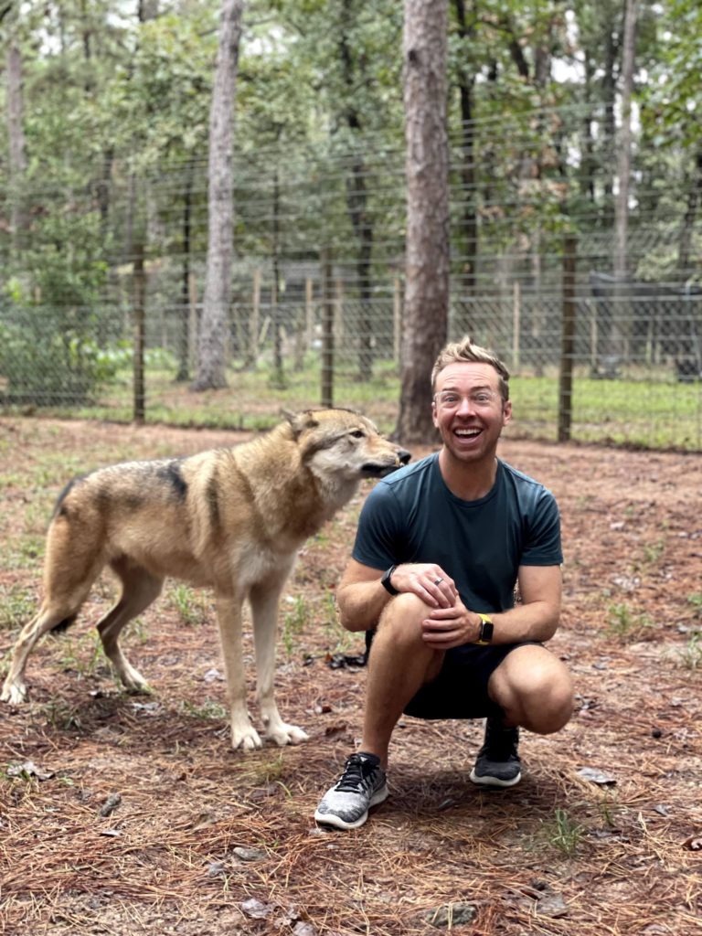 a brown wolfdog sniffing a man