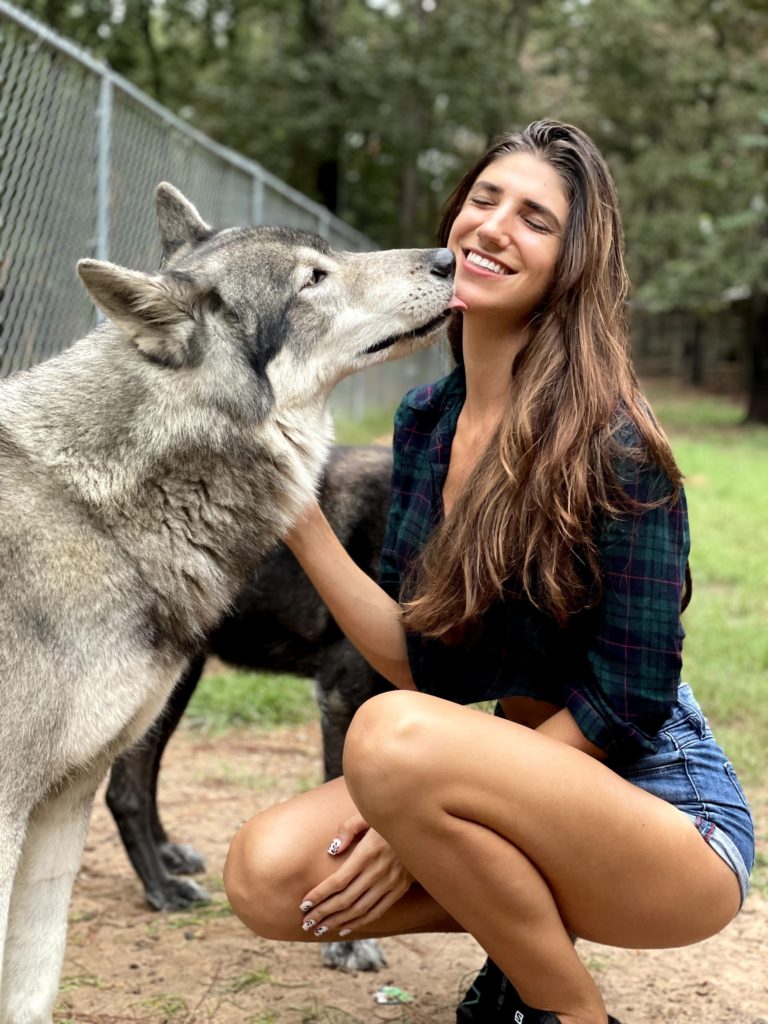 a friendly wolfdog licking the face of my friend, Courtney